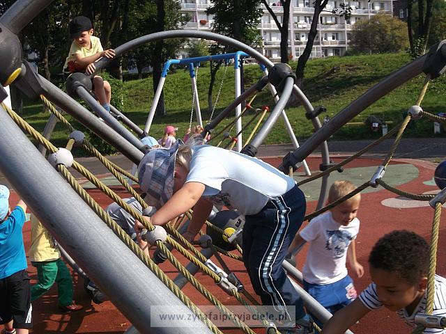 DSCF8824