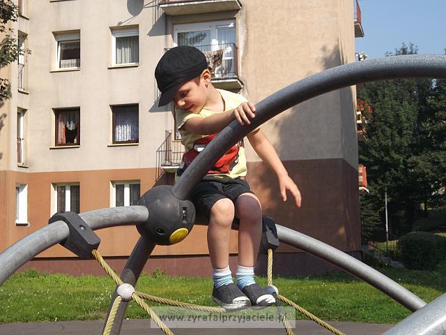 DSCF8826