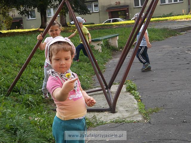 DSCF8841
