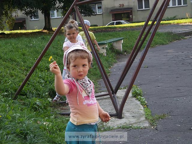 DSCF8842