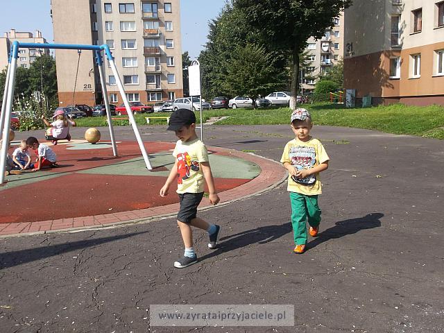 DSCF8846