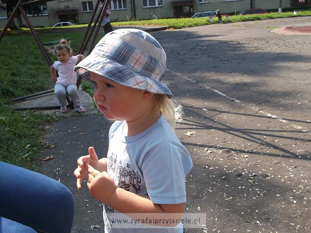 DSCF8849