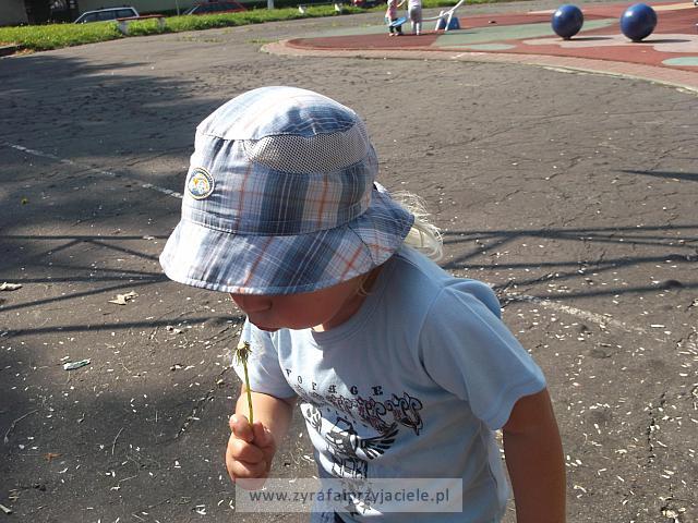 DSCF8853