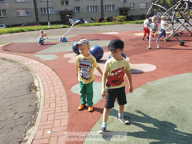 DSCF8854