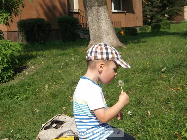 DSCF8859