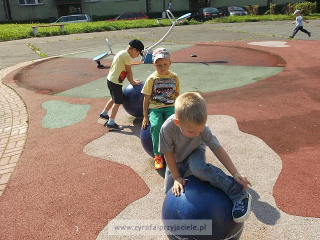 DSCF8870