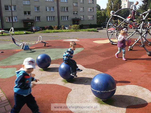 DSCF8952