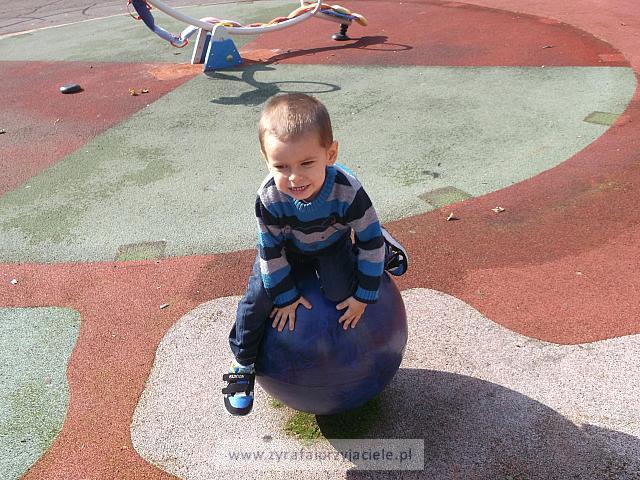 DSCF8954