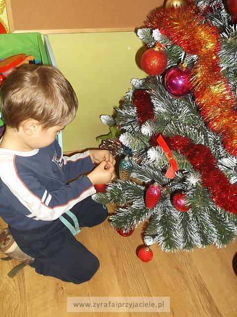 DSCF3238