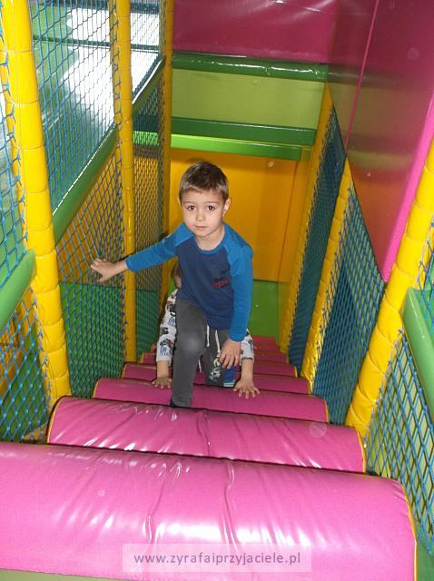 DSCF6849