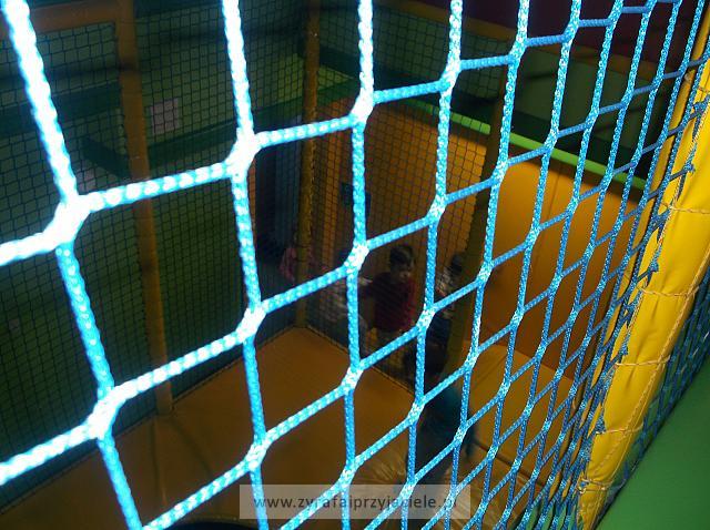 DSCF6859
