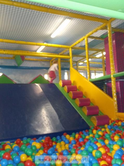DSCF6872