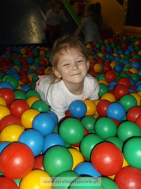 DSCF6876