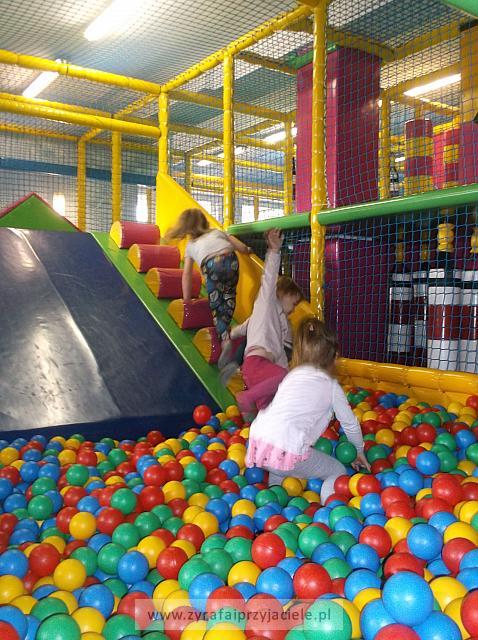 DSCF6877