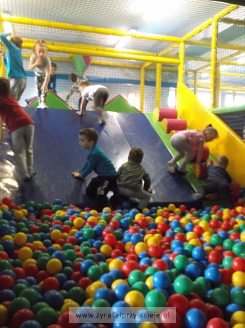 DSCF6890