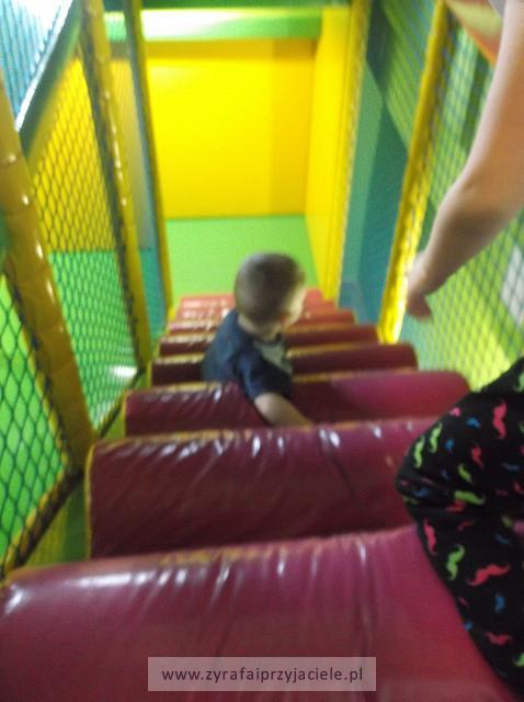 DSCF6895