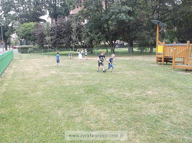 DSCF5491