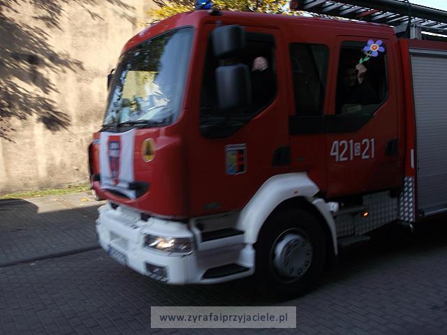 DSCF2992