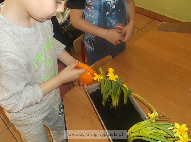 DSCF0767