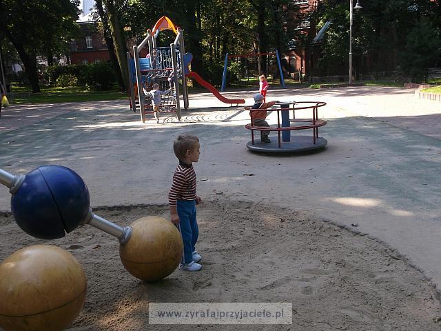 DSCF8660