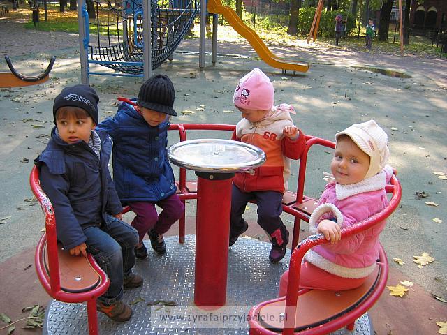 IMG 3759