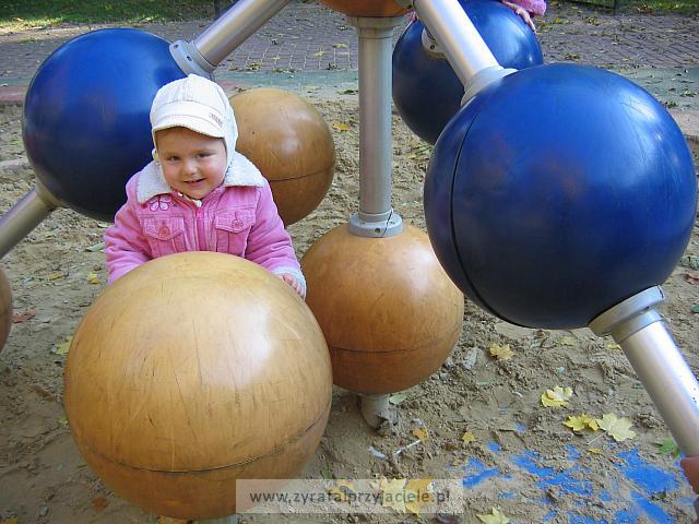 IMG 3768