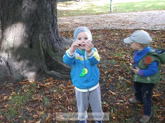 DSCF9294