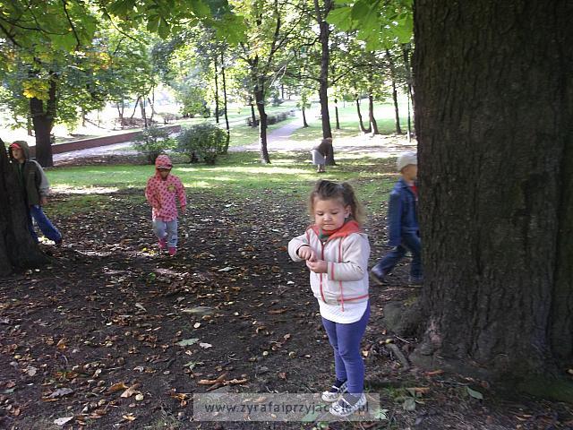 DSCF9341