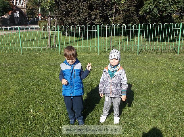 DSCF1763