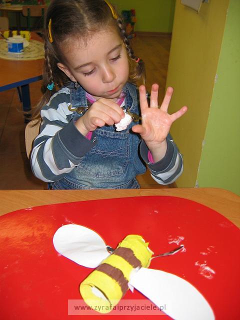IMG 4978