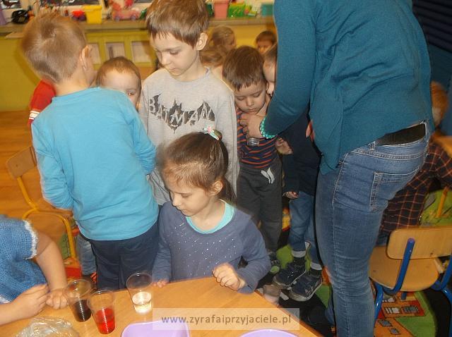 DSCF0681