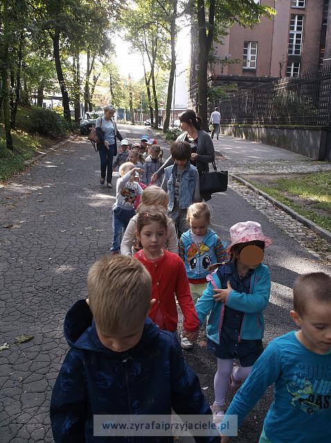 DSCF1449