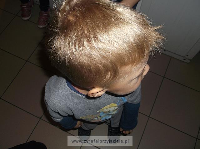 DSCF8856