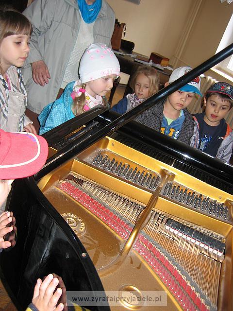 IMG 1590