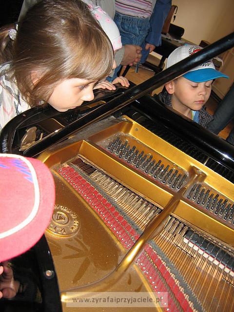 IMG 1591