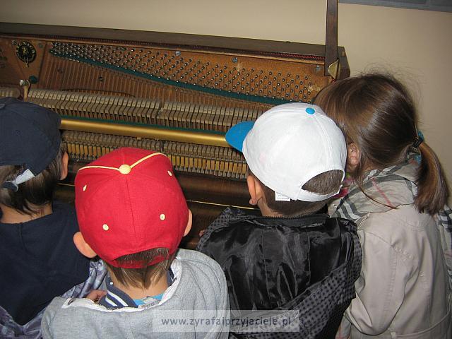 IMG 1593