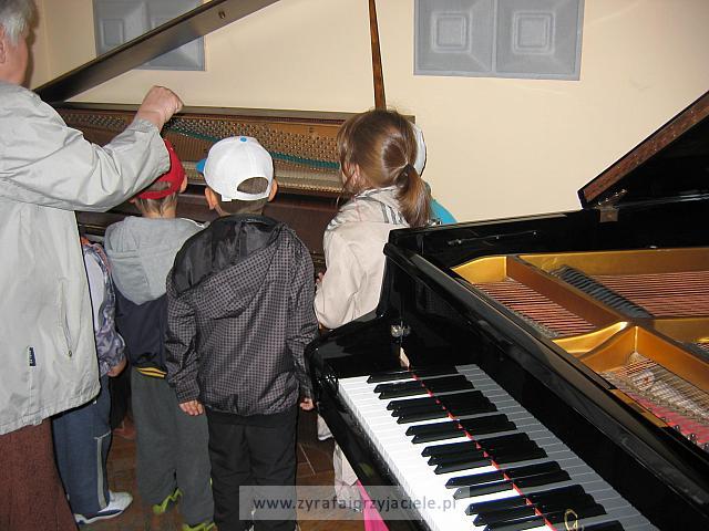 IMG 1594