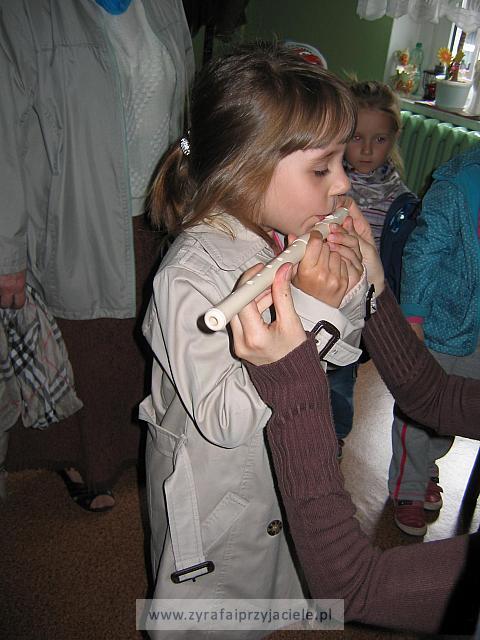 IMG 1616