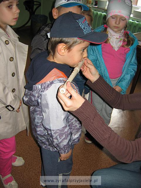 IMG 1620