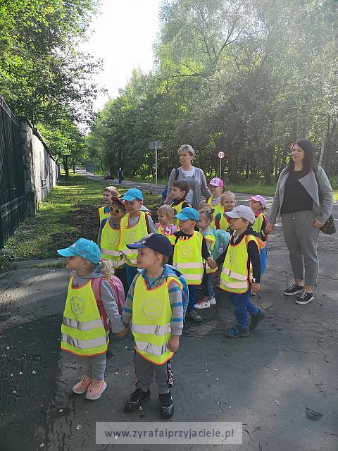 IMG 20190531 085420