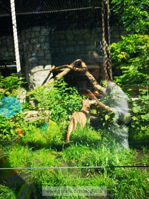 IMG 20190531 092453