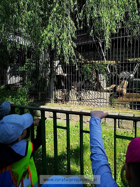 IMG 20190531 092536
