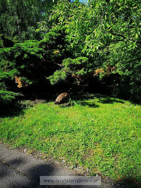 IMG 20190531 092947