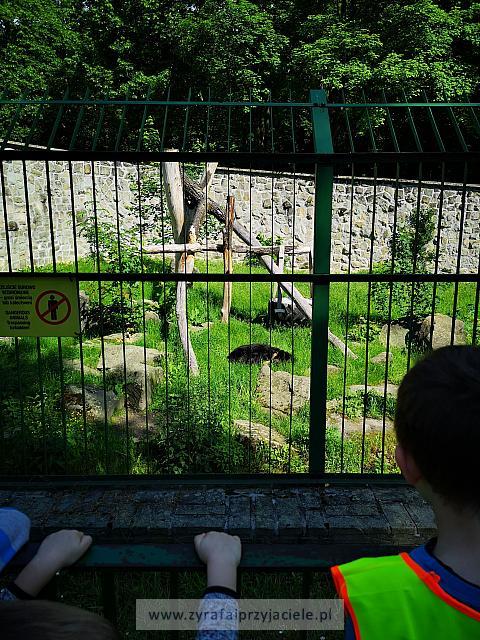 IMG 20190531 093137