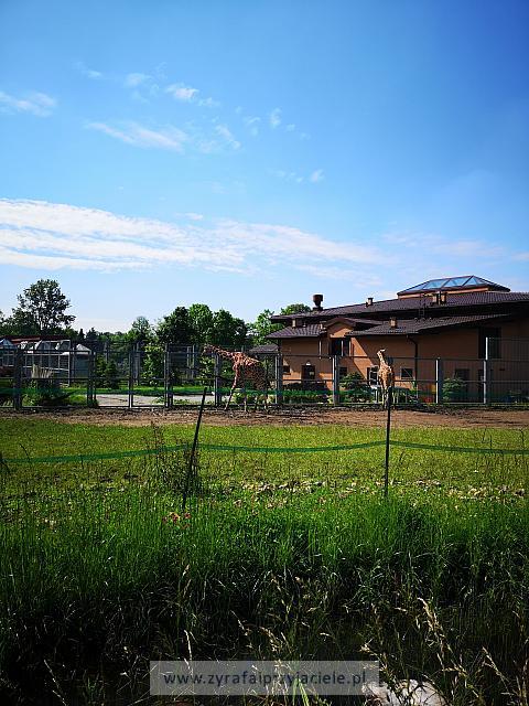 IMG 20190531 094158