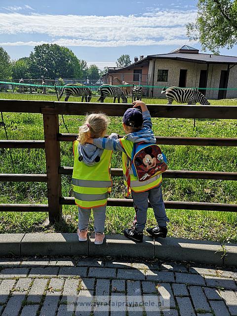 IMG 20190531 094452