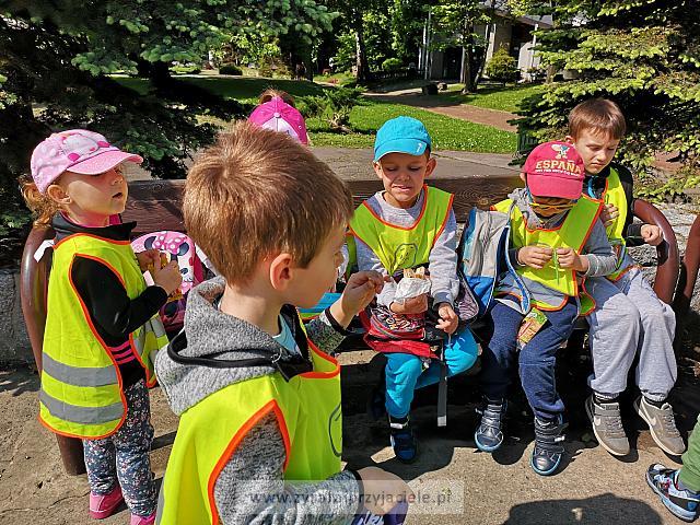IMG 20190531 094817