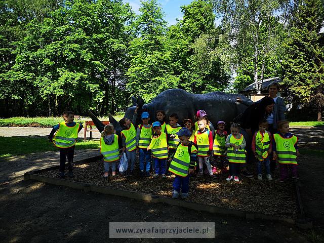 IMG 20190531 101955
