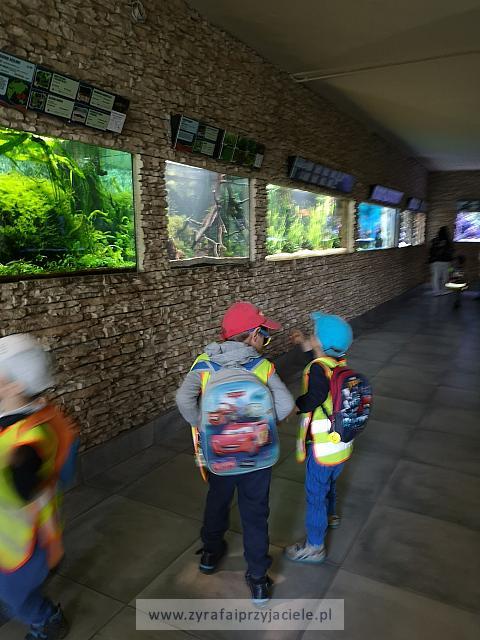 IMG 20190531 103059