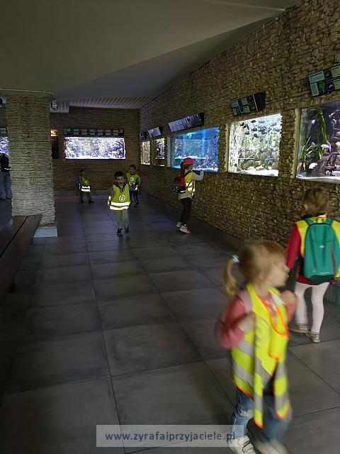IMG 20190531 103105